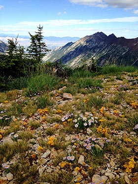 Mount Baldy