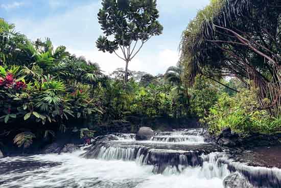 Hot springs at the Tabacon resort